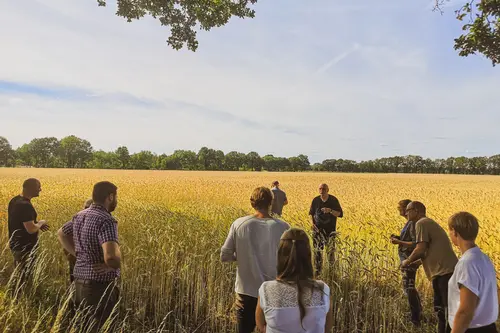 Menschen stehen in einem sommerlichen Feld und hören einem Vortrag zu.